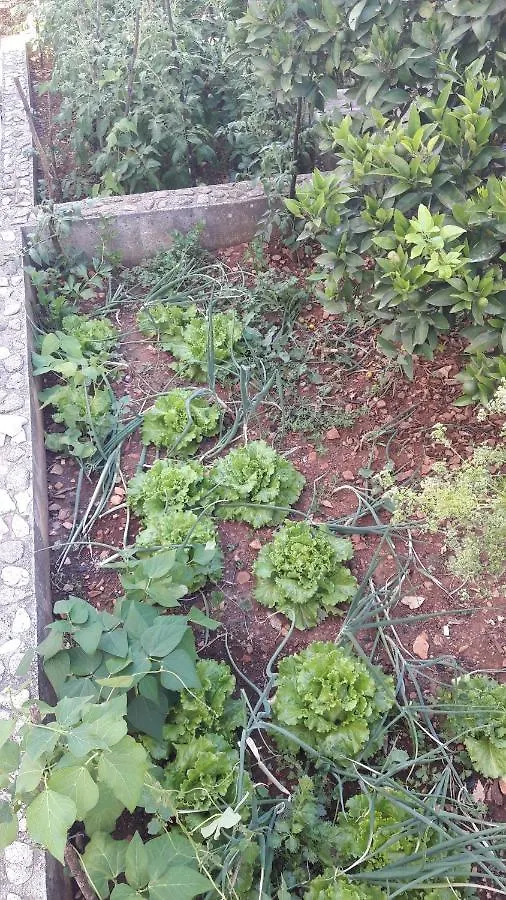 Apartment Kike 트로기르